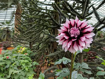 Google Pixel 3. f/1.8 at 4.44mm, 1/20 sec, ISO 55.