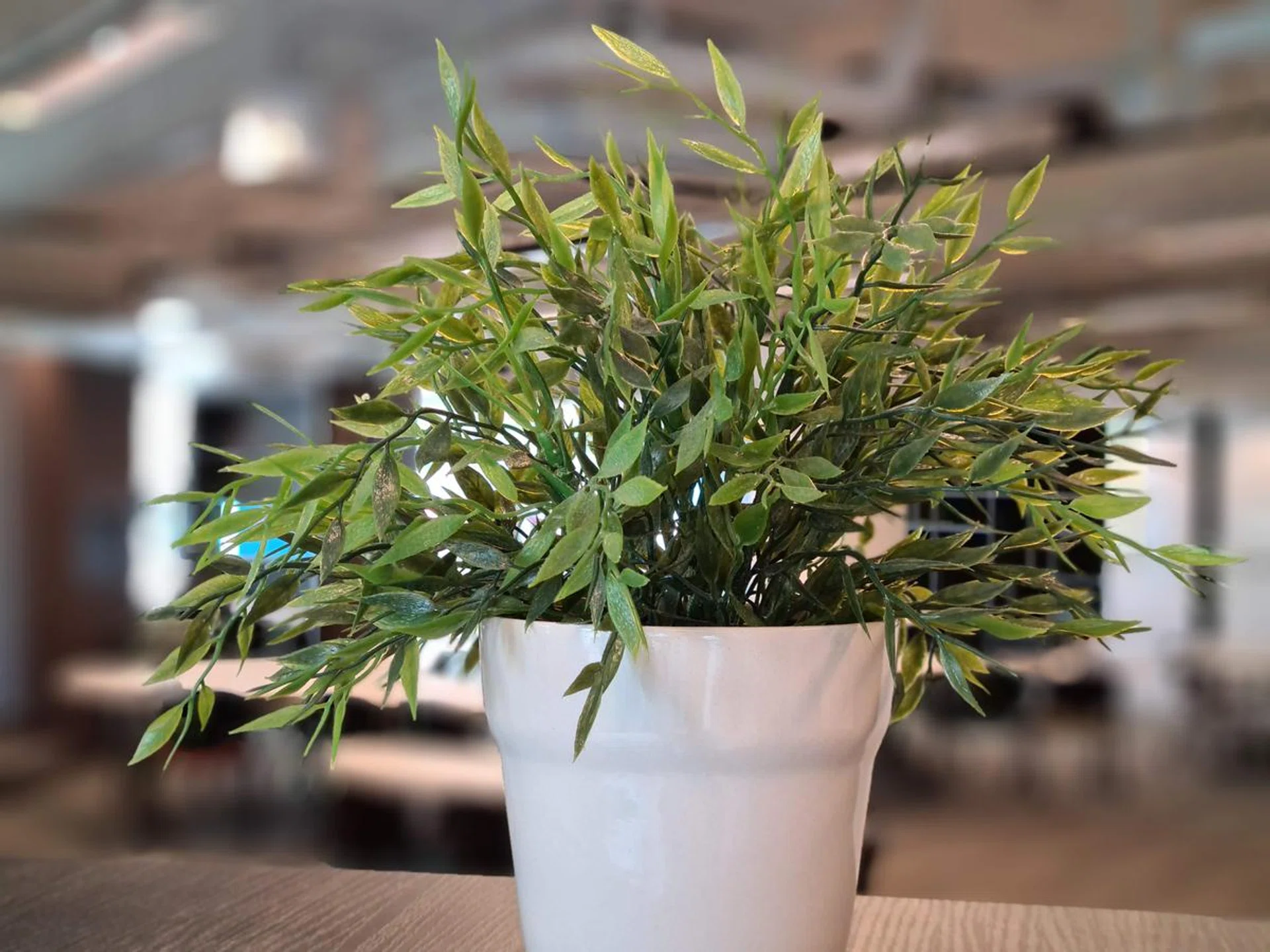 Even without a Time-of-Flight (ToF) sensor, which is supposed to help improve edge detection in bokeh, the Galaxy S20 was just as good...