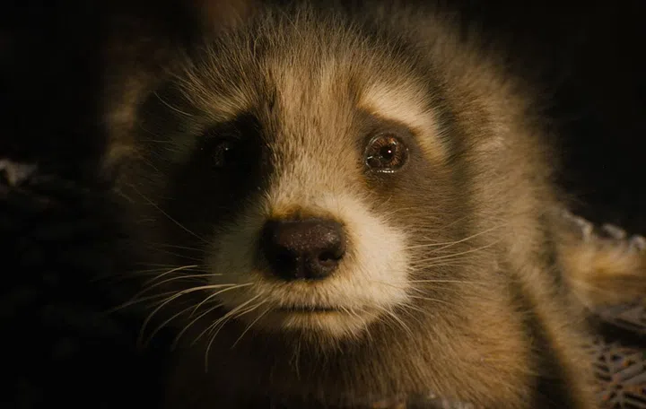 Image Source: Marvel Studios