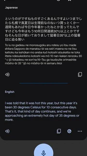 Google Translate in action.