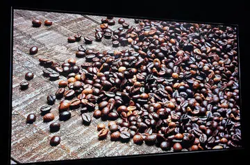 Ready for a 98-inch 8K TV?