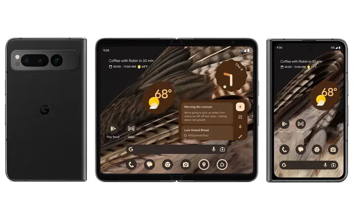 (Image source: Google)