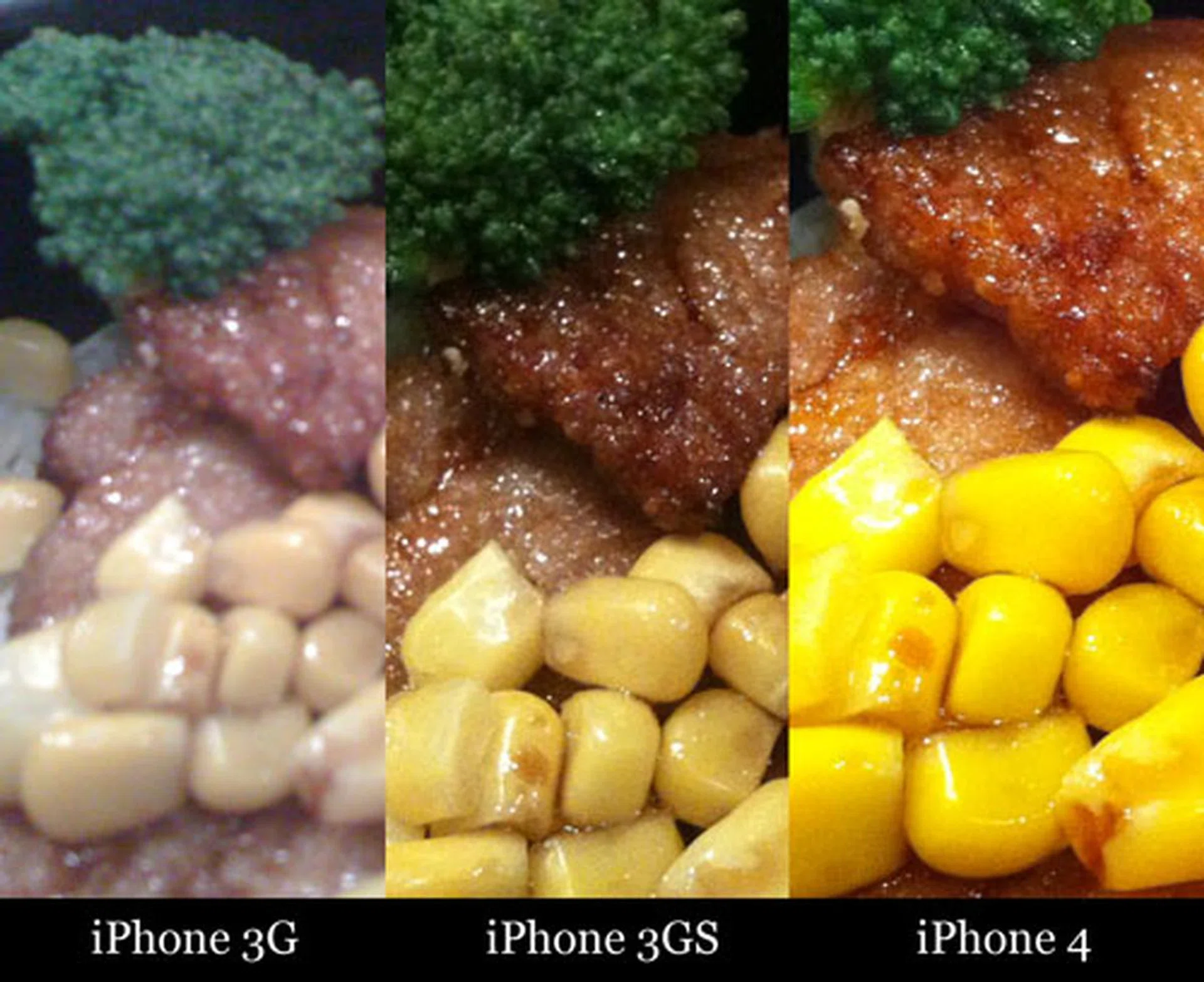 One problem with not having tap to focus is that we kept missing macro shots with the iPhone 3G. 