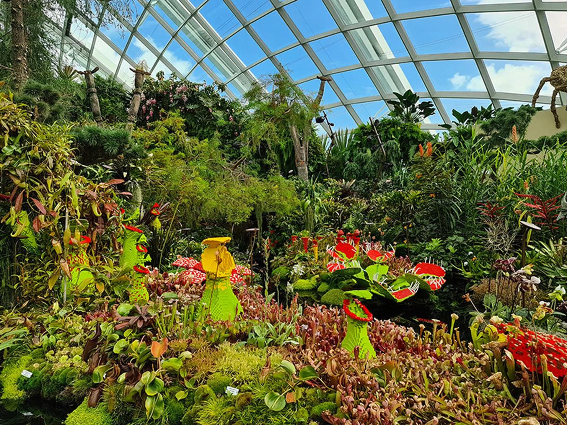 S20 Ultra. (Click to view full-size image)