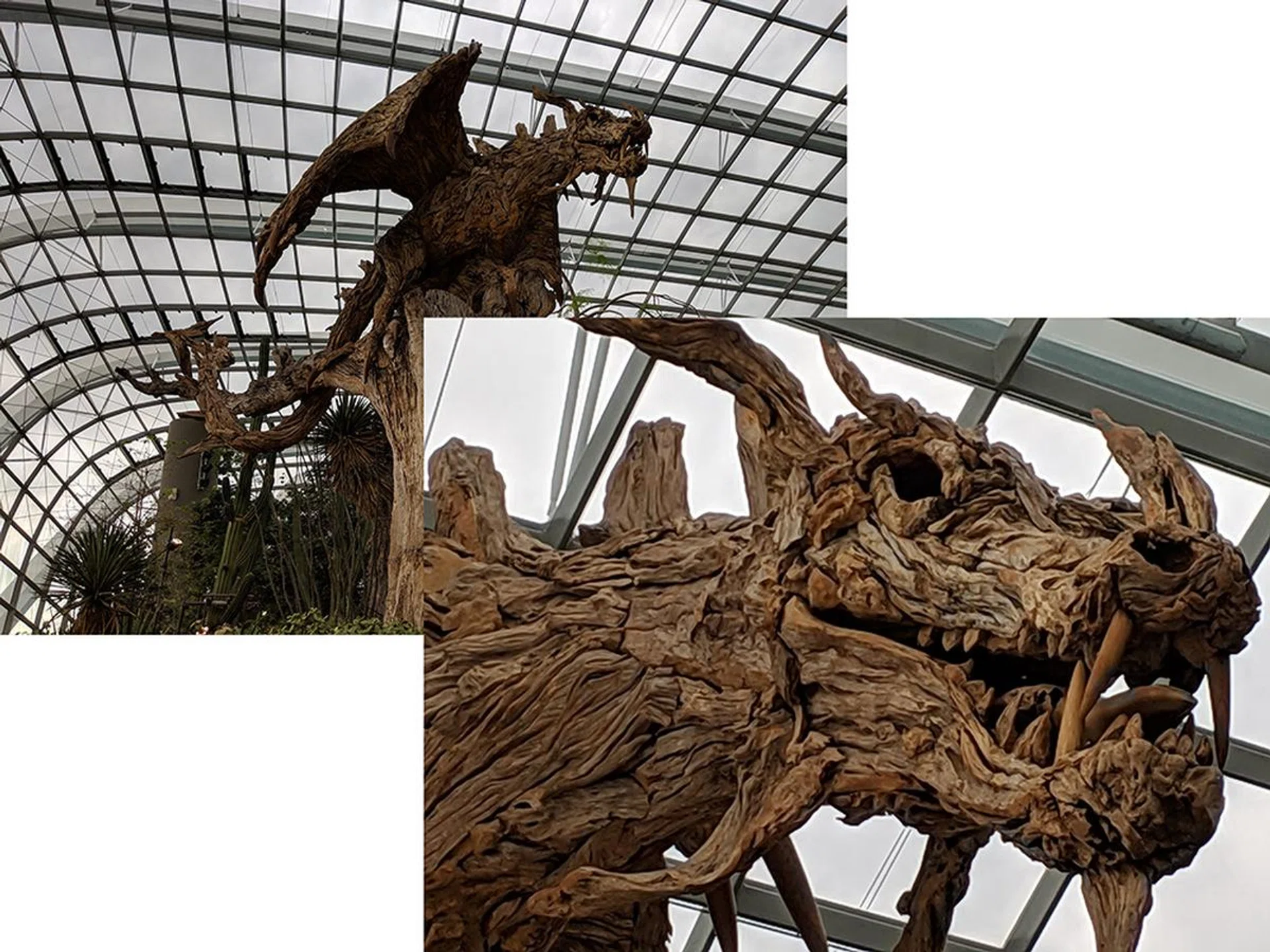 A subject shot without digital zoom (back) and with the maximum Super Res Zoom (front).