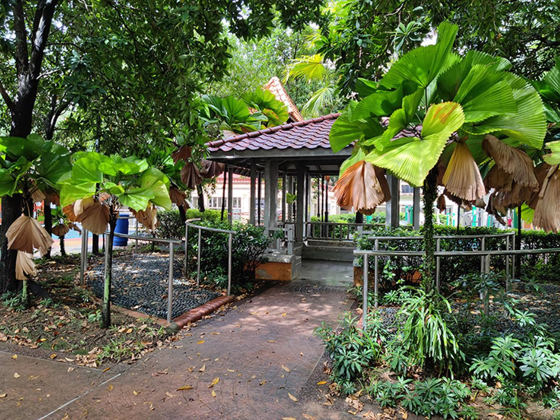 Main camera, no zoom.