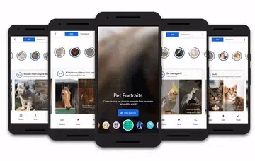 The Pet Portraits feature inside the Google Arts and Culture app.