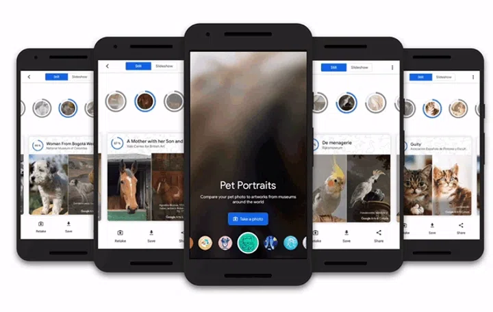 The Pet Portraits feature inside the Google Arts and Culture app.