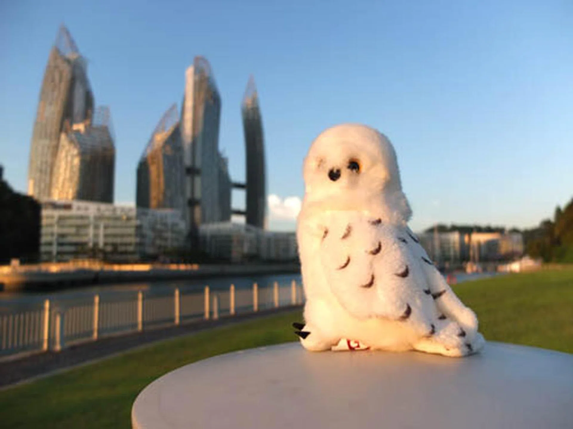 f/2 at 28mm (35mm equivalent), 1/1000 sec, ISO100. At f/2 the background is pleasingly blurred, providing more focus to the subject.