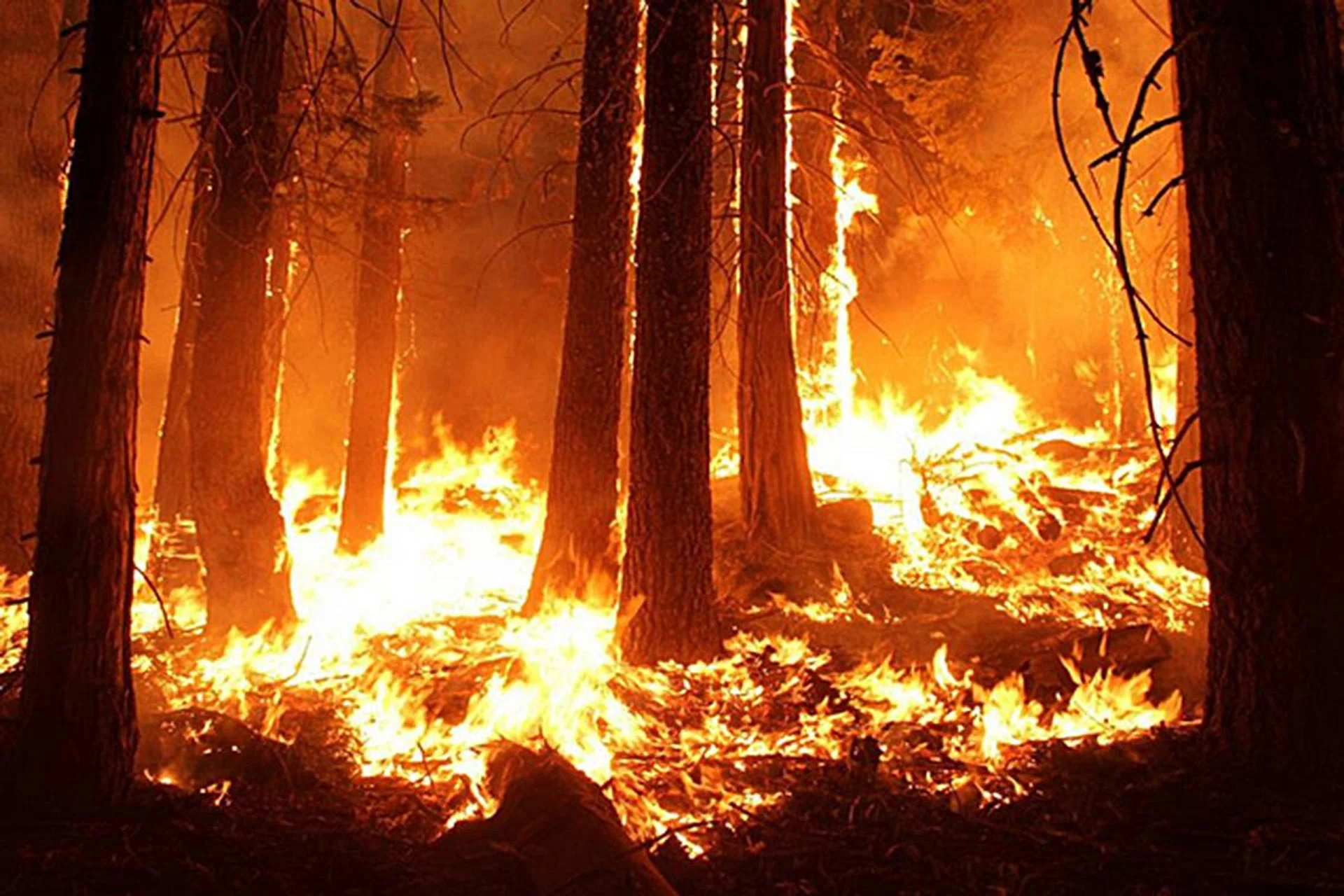 Image source: NVIDIA