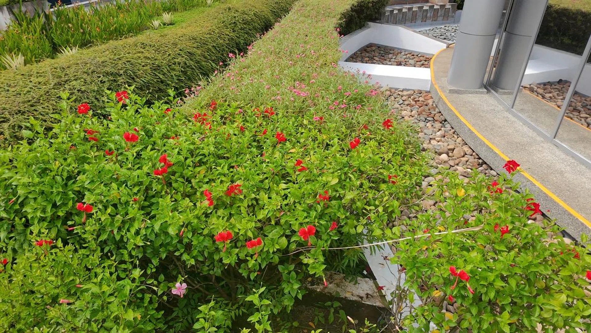 The colours are vibrant and accurate enough for casual viewing. Photo: HWZ