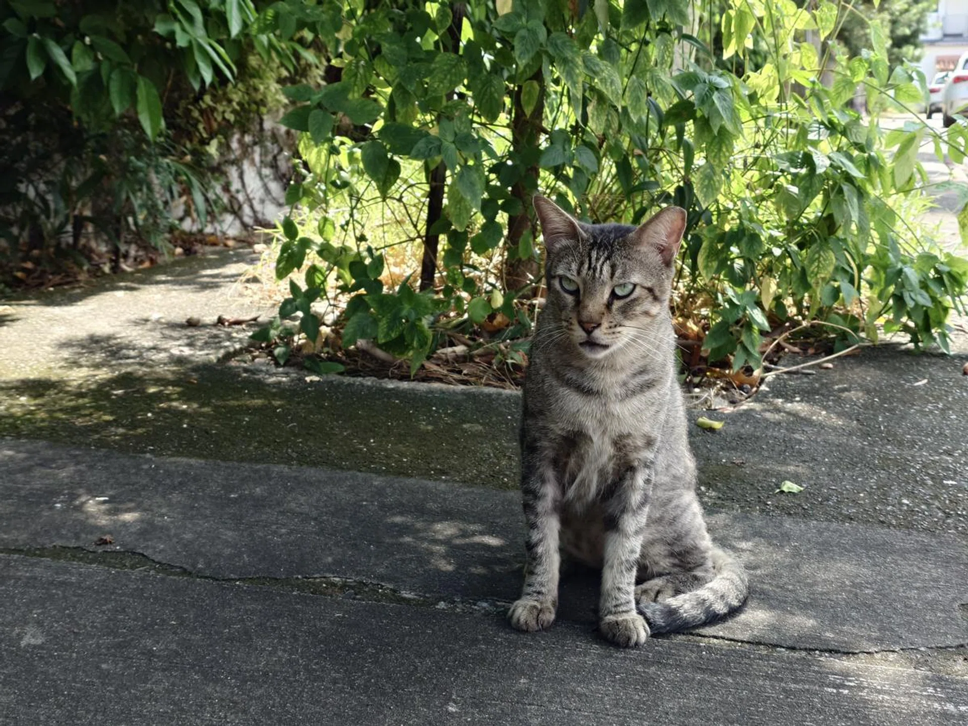 2x zoom. Photo: HWZ.