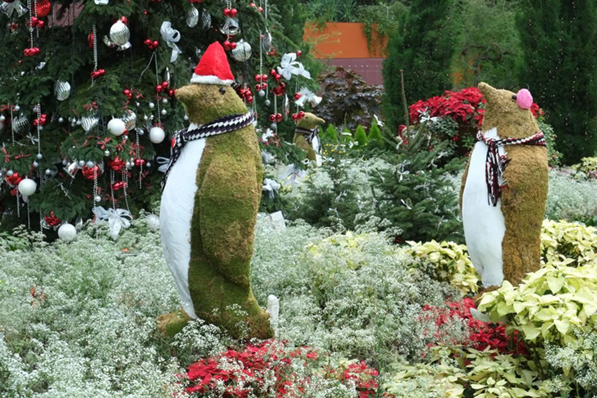 f/8 at 49mm (35mm equivalent), 1/30 sec, ISO 200.