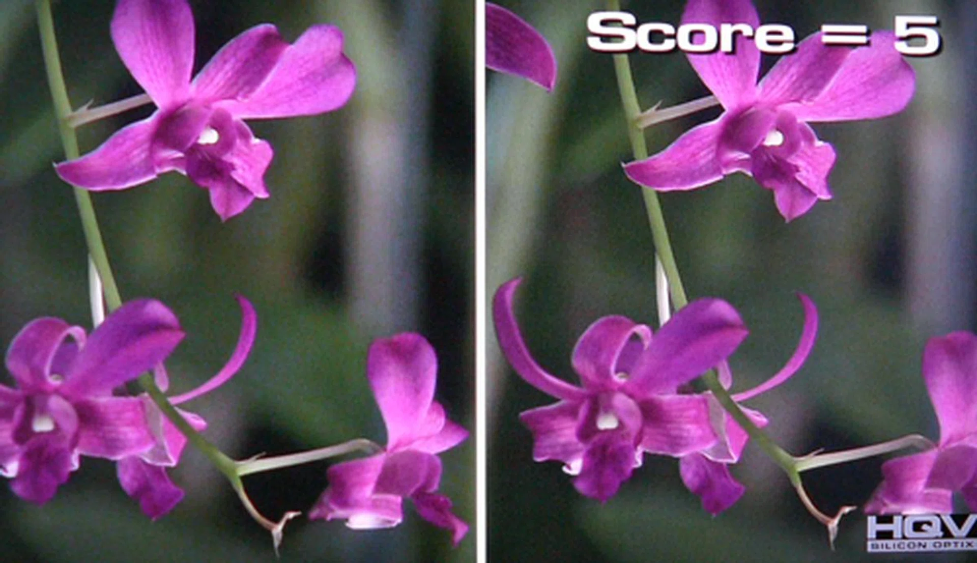 Image details were sacrificed when we bumped up the noise filters to the max. Conversely, it's good to know Sony's noise filtering algorithms were also capable in removing noise levels despite the minor trade off.