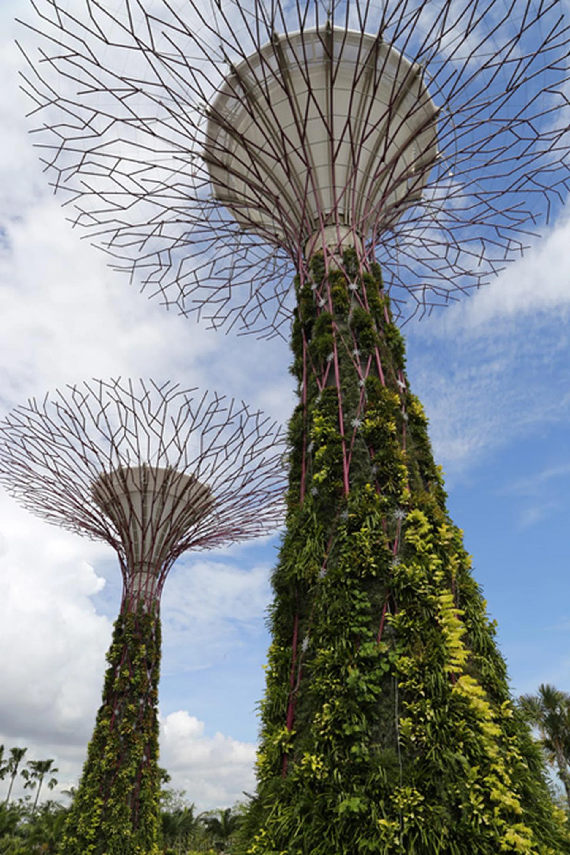 f/11 at 24mm, 1/200 sec, ISO 100.