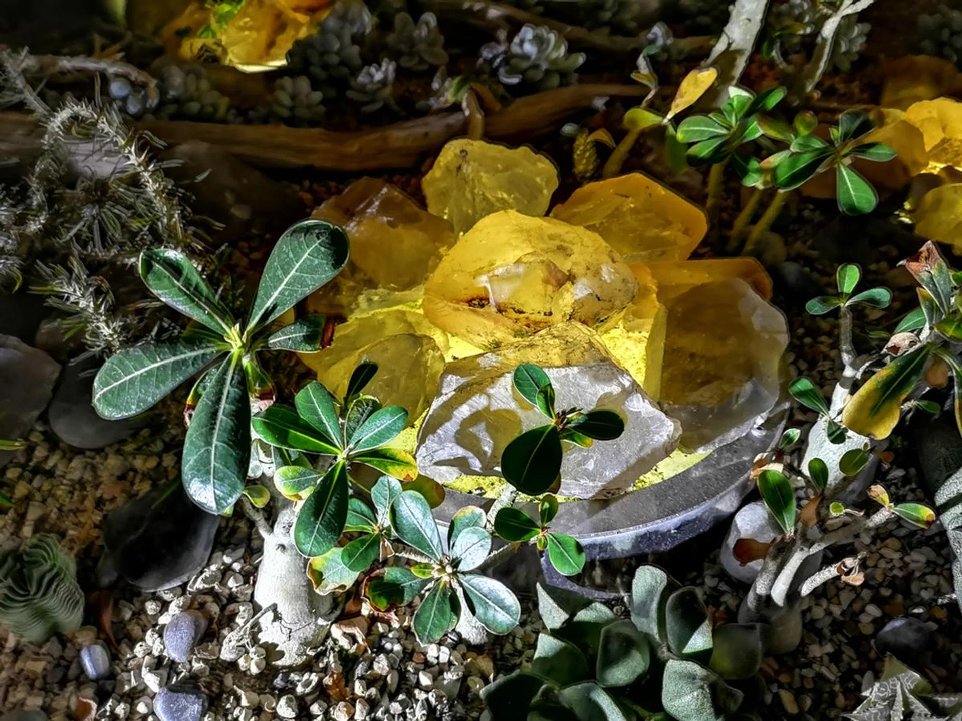 f/1.8 at 3.95mm, 4 sec, ISO 400. Night Mode is capturing more detail than what I could see with my eyes. But artifacts are more prevalent in this shot. Notice how the leaves in the mid-ground and details in the background have double images.