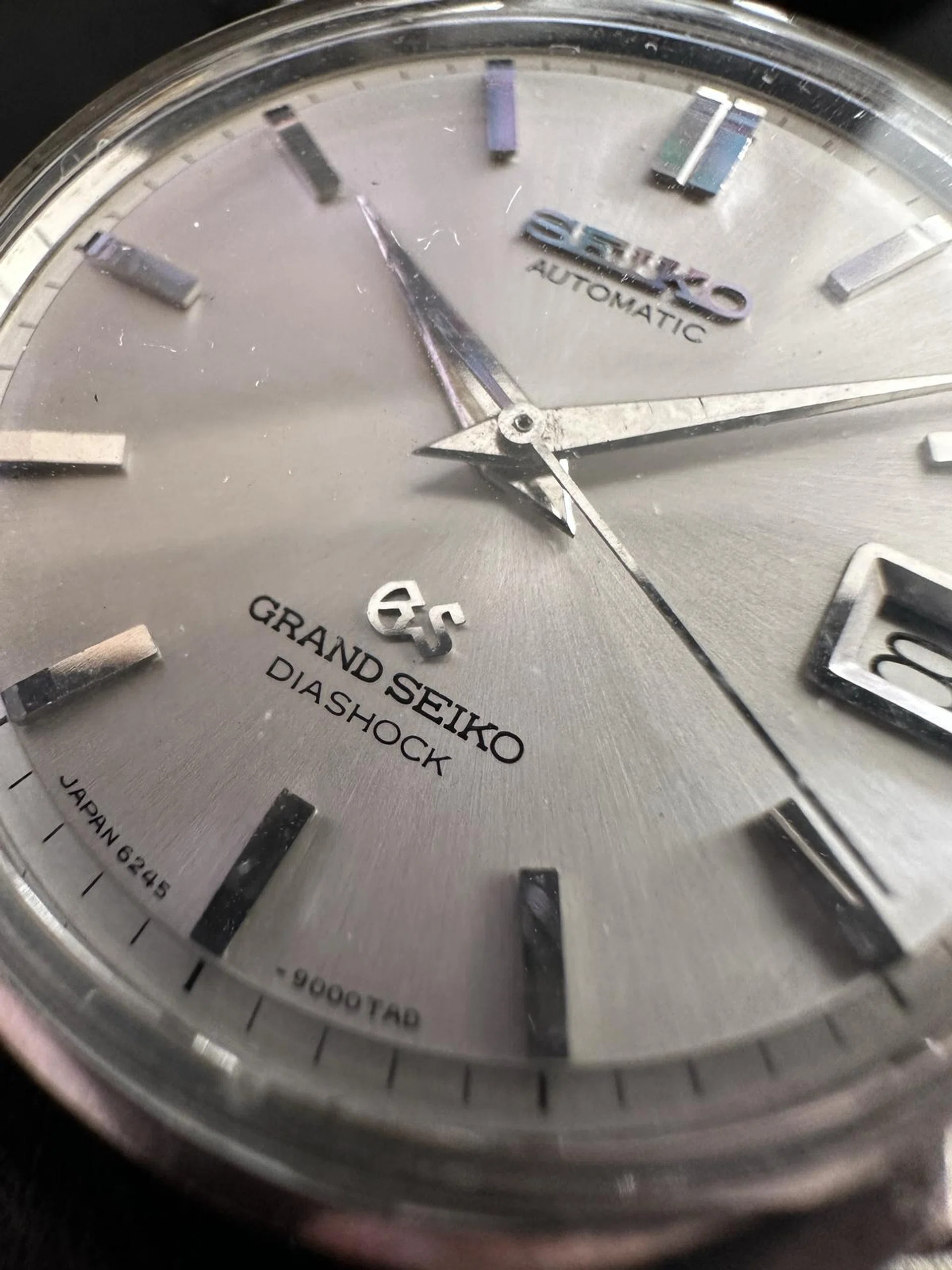 Taken with the iPhone 14 Pro Max's macro mode. Click to see the image in its full resolution.