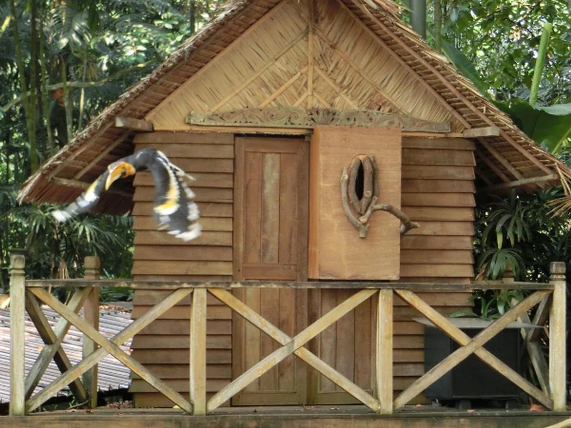 The camera's tracking AF will have a hard time following fast-moving subjects, such as this bird here.