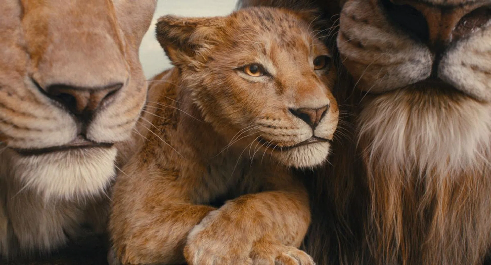 Mufasa: The Lion King. Image: Disney