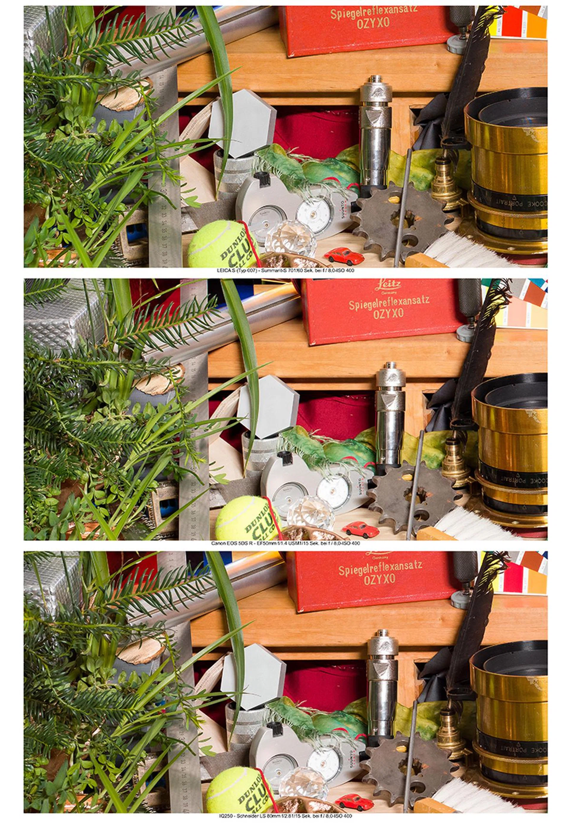 Comparisons at ISO 400 to show relative sharpness. (From top: Leica S, Canon EOS 5DS R, Phase One IQ 250)
