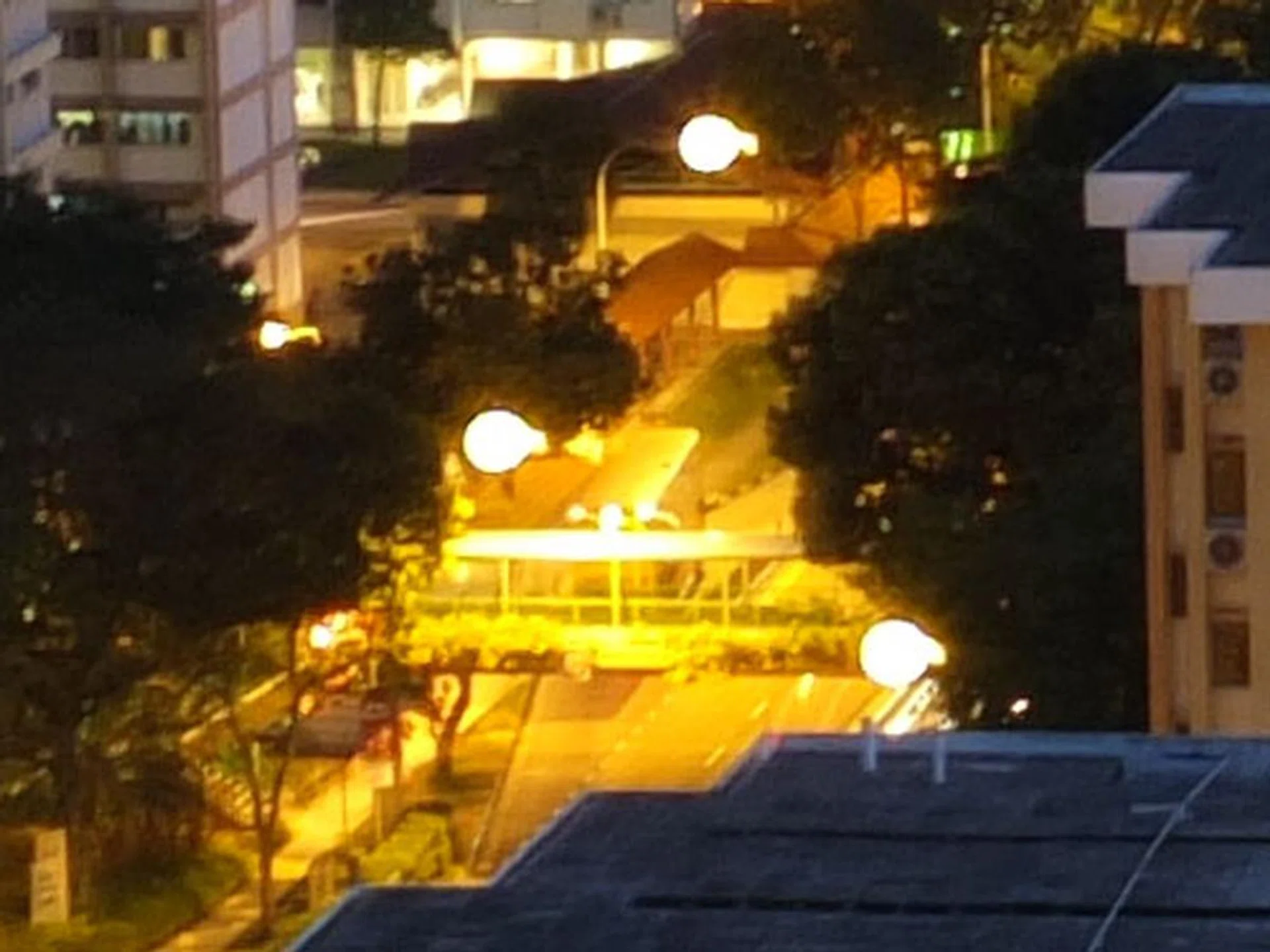 The white orbs seem to appear when shooting into light sources or into strong highlights. This was photographed with the previous firmware version 1.02, f/8 at 8.9mm, 12 sec, ISO100. Click to see the complete full-resolution image.