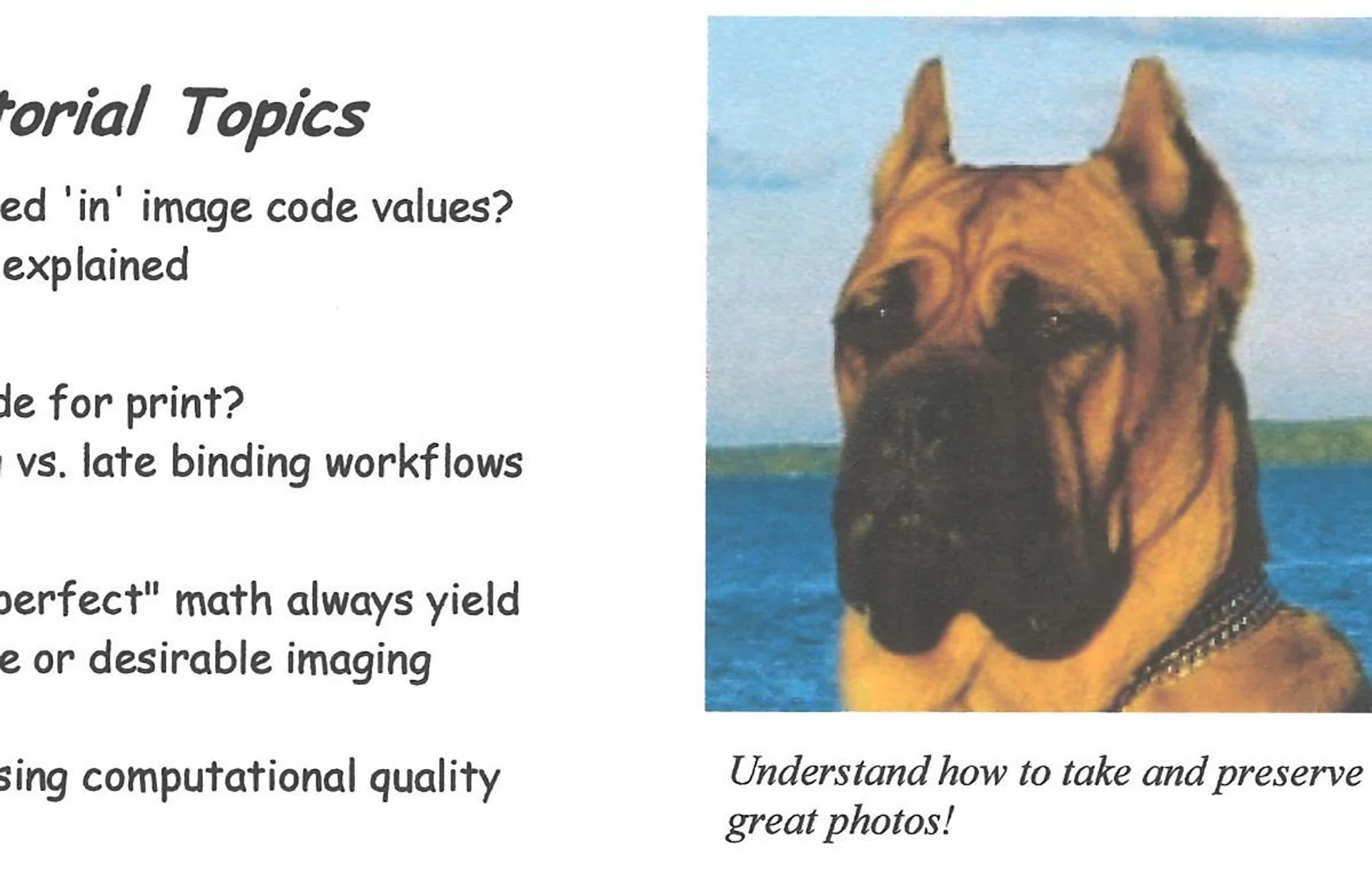 Close-up scan of its colour image print capability.