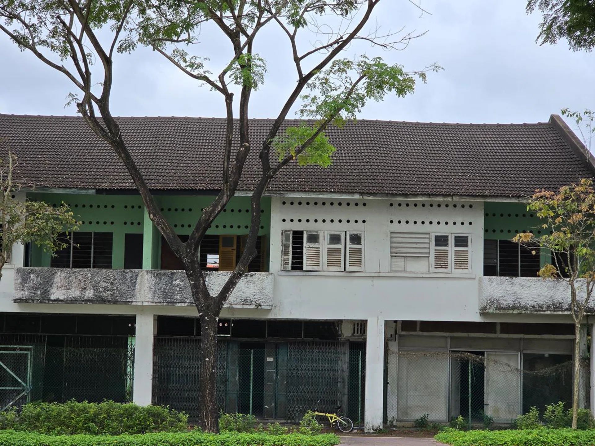 3x optical zoom, Galaxy S25. Photo: HWZ.