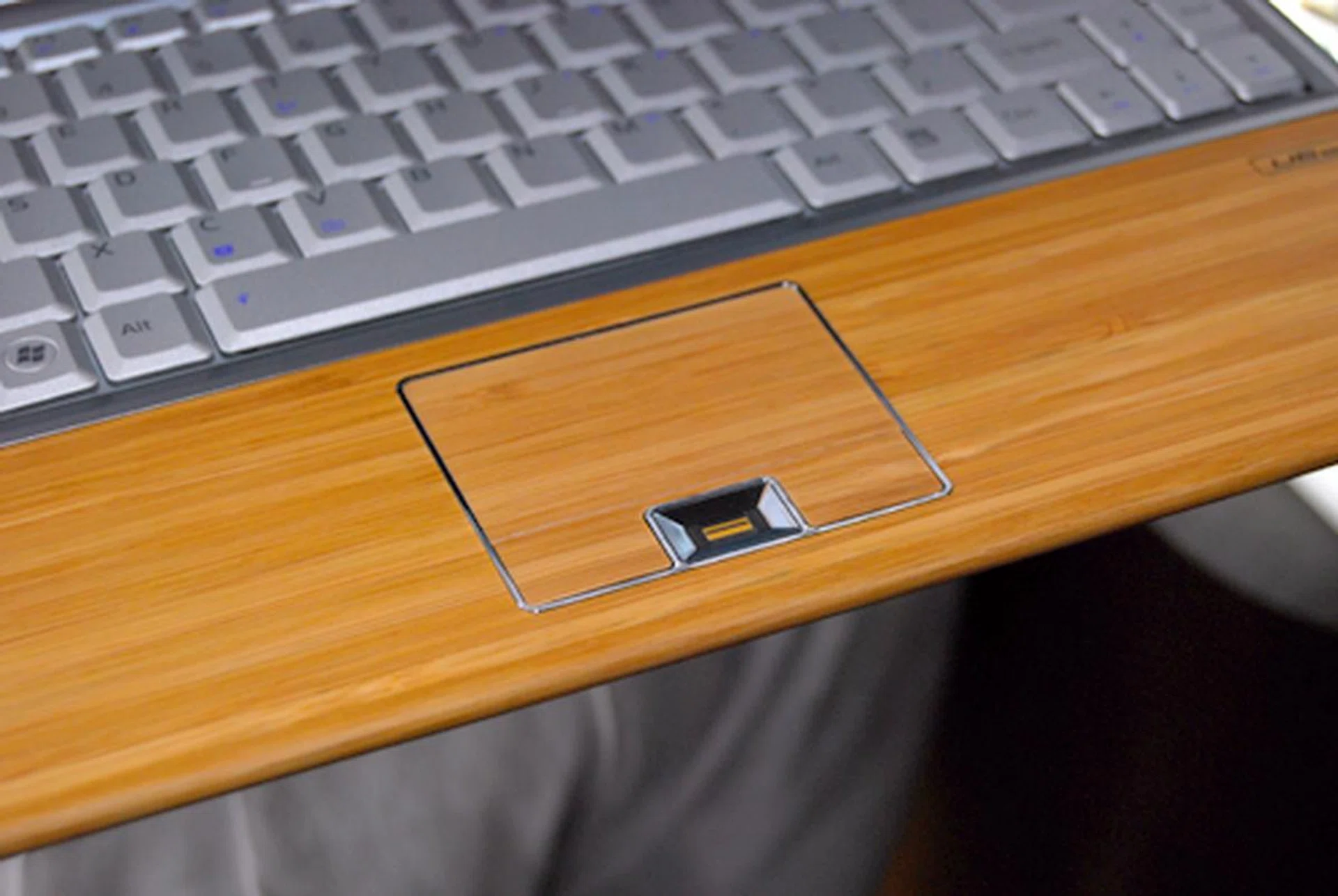  We kid you not when we say the ASUS Bamboo is thoroughly surrounded by bamboo. Even the mouse pad is layered with bamboo. Probably not a good idea to put this notebook near a panda, we say.  