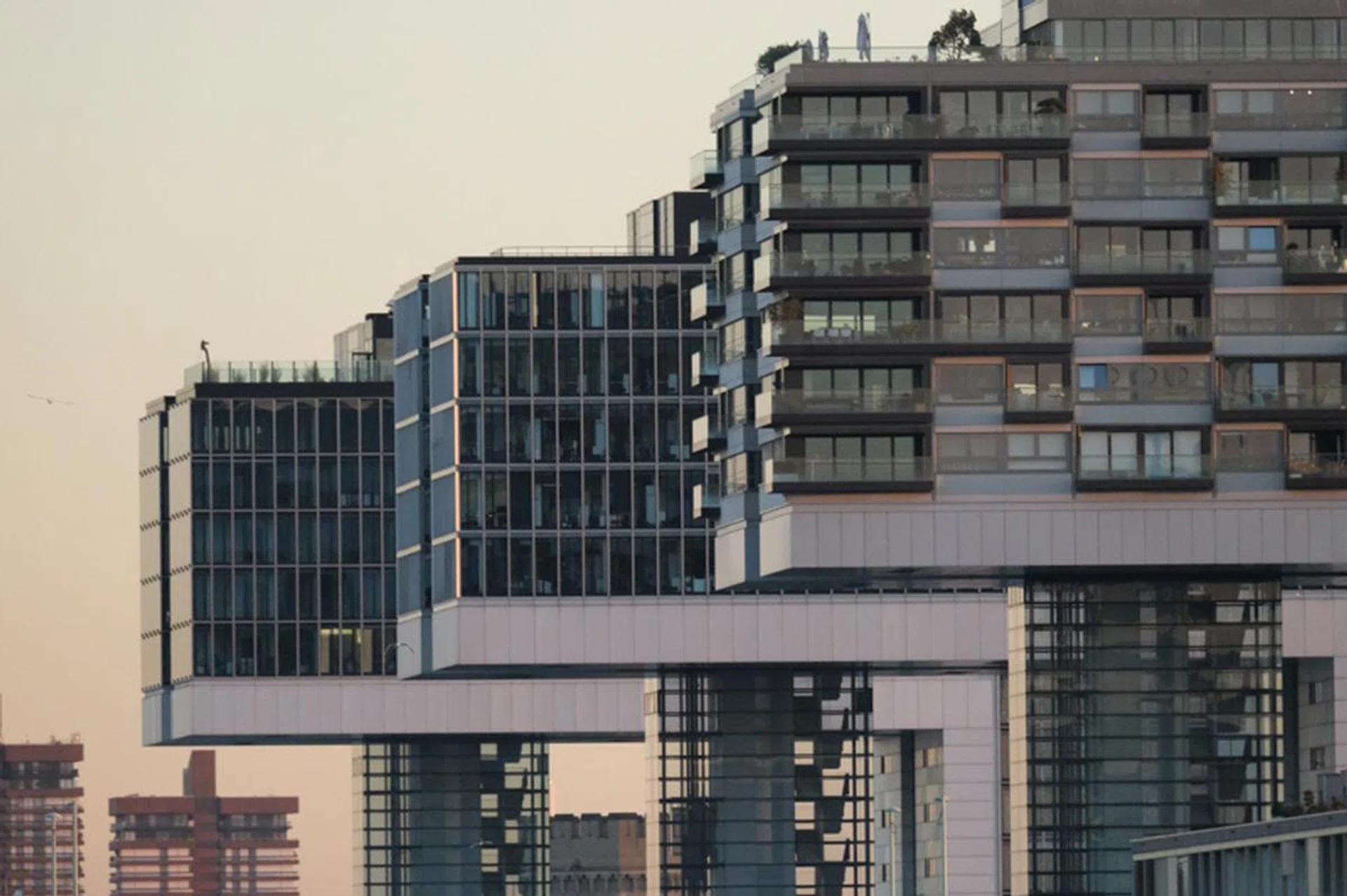 312mm at f/5.6, 1/4000s, ISO 10,000