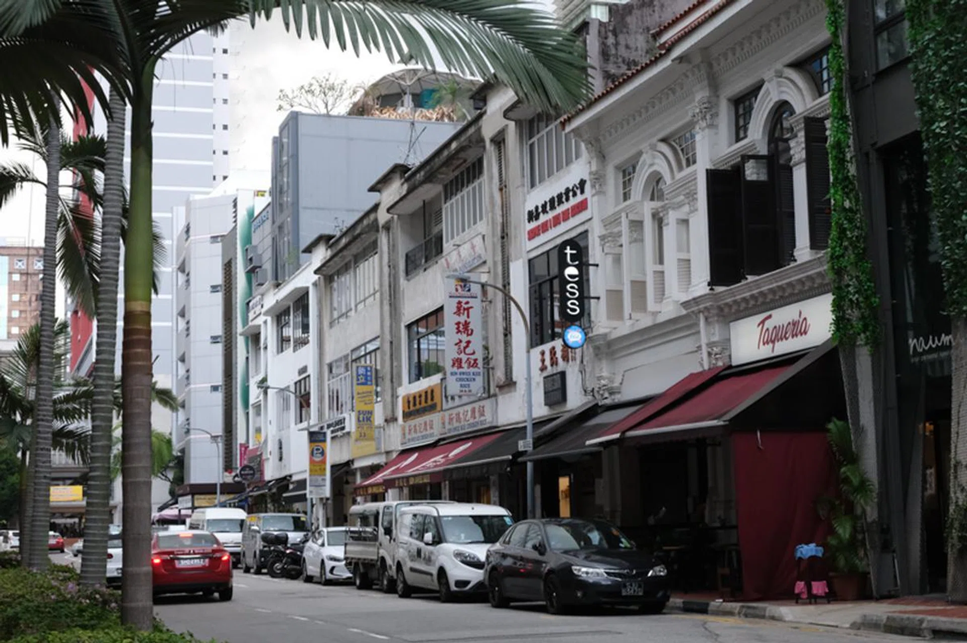 39mm at f/8.0, 1/250s, ISO 4000