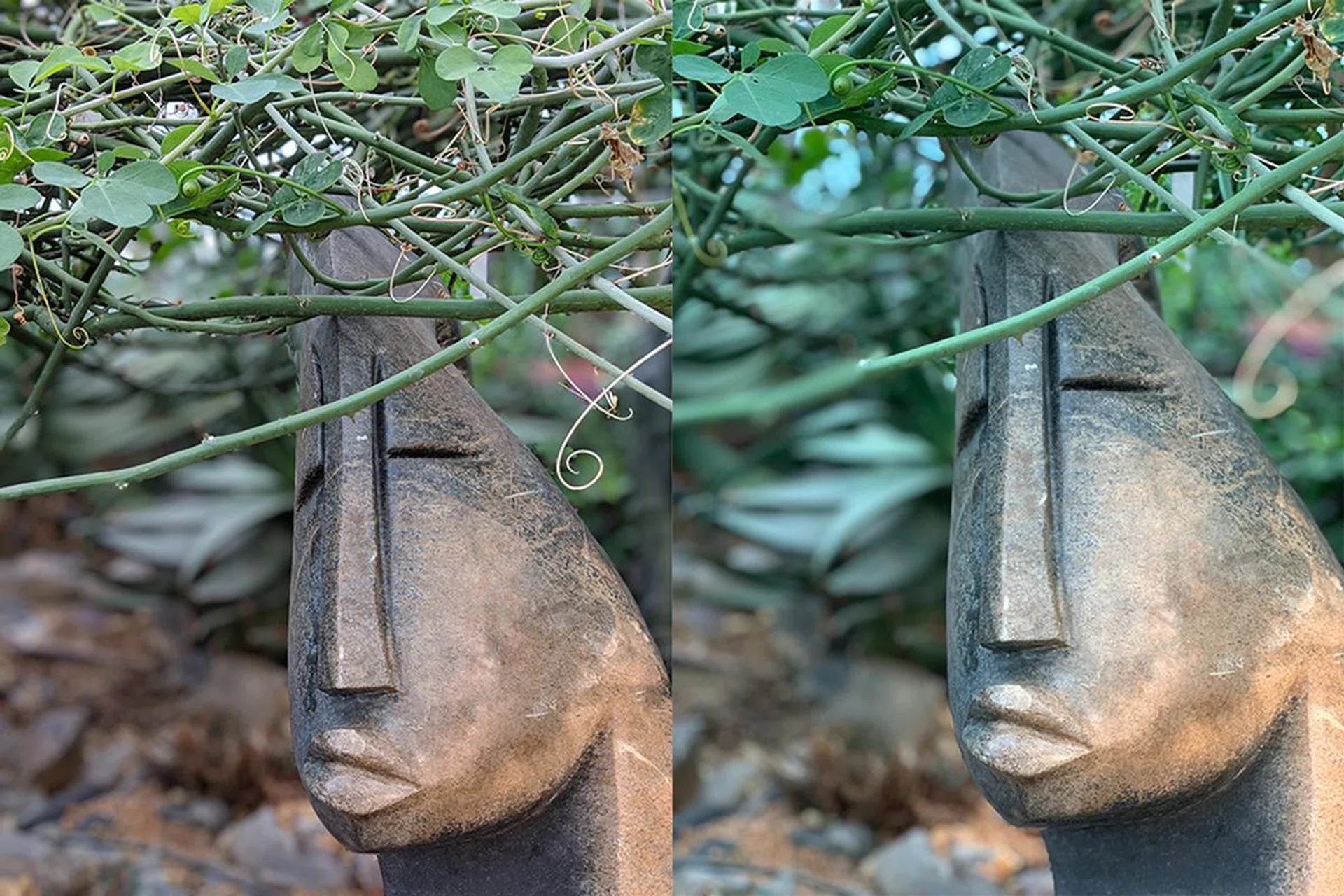The Pixel 3 (left) nails this incredibly complex Portrait shot, which confounds the iPhone Xs (right). I’ve never seen a smartphone’s Portrait Mode do this well before.