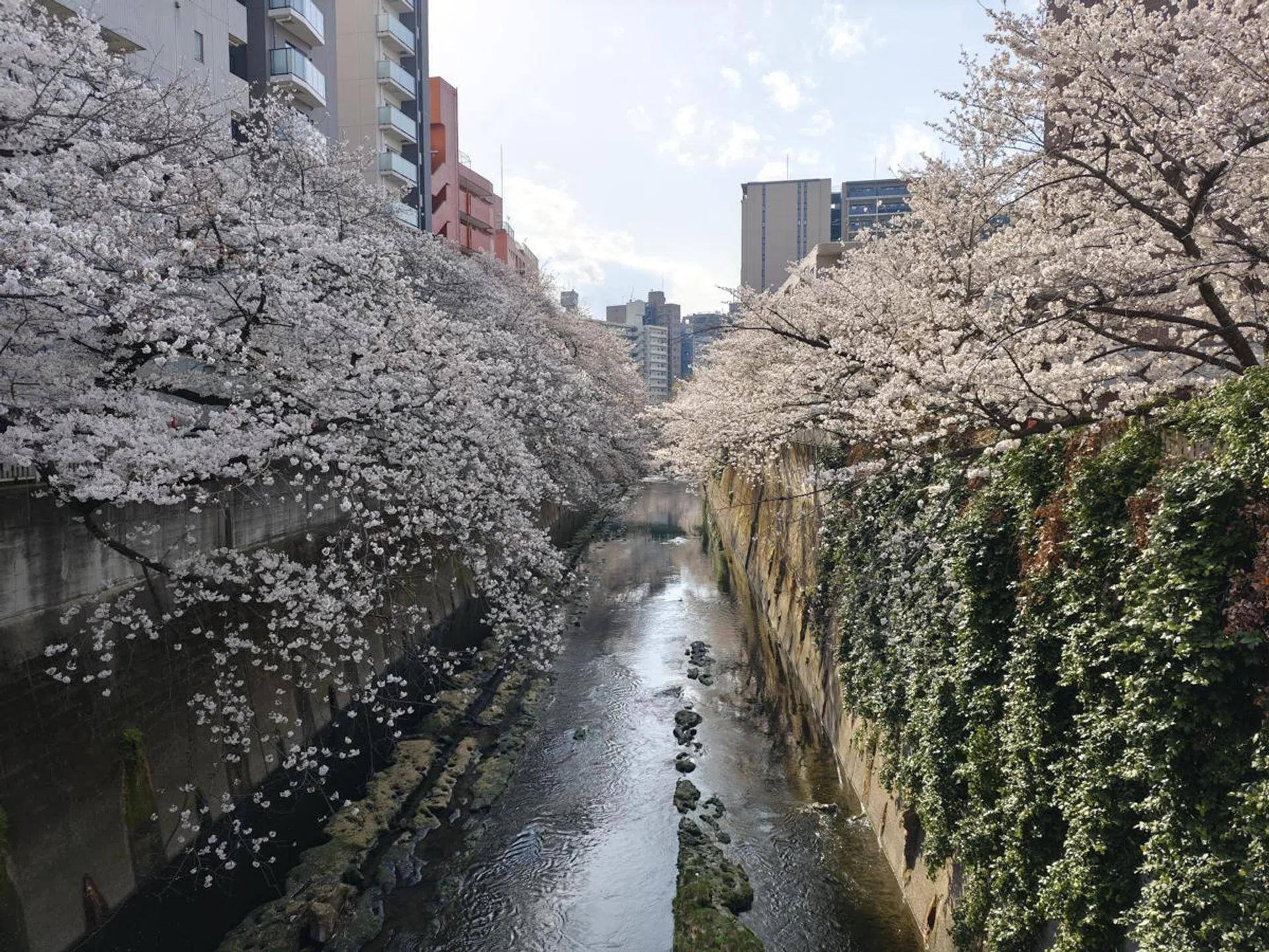 Main camera. Photo: HWZ.