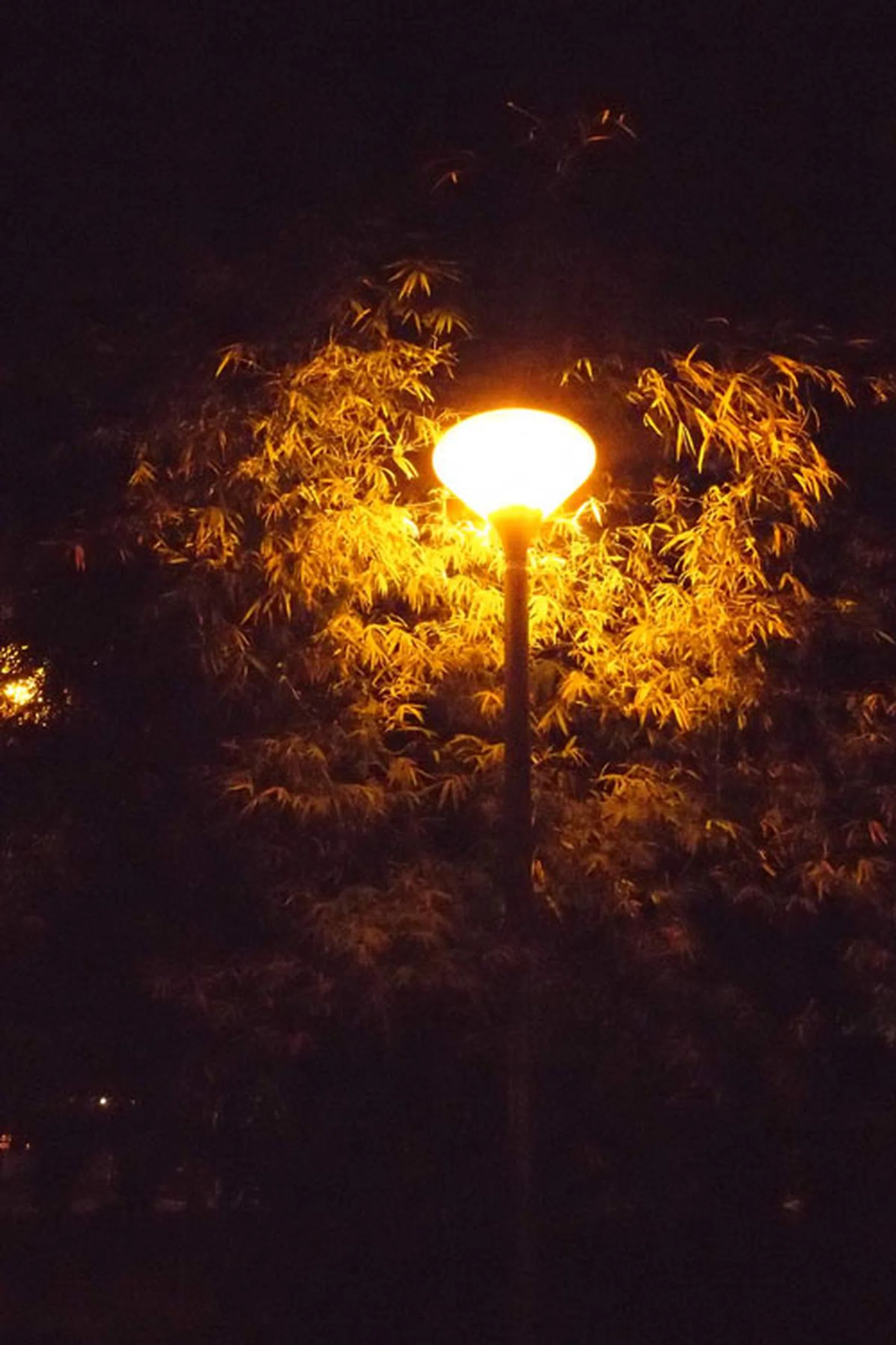 f/4.5 at 28mm, 1/60 sec, ISO4000.