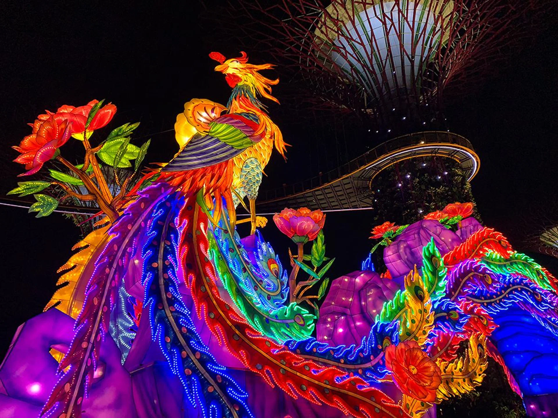 The iPhone XS’ photo shows dramatically more color and dynamic range than the iPhone 8 Plus’ (below). This is the non-Smart HDR image, by the way.