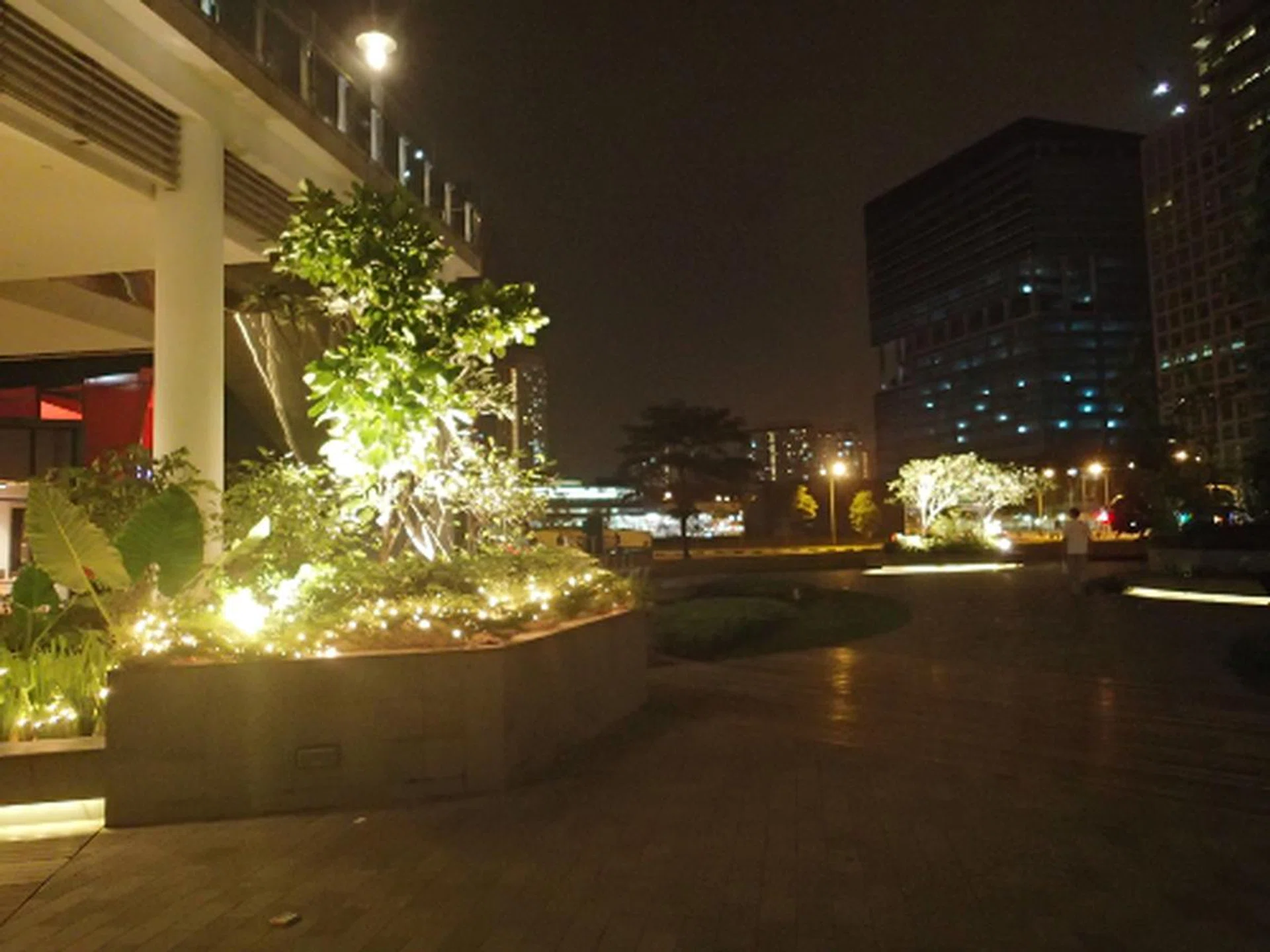This image which was shot at ISO800, still looks reasonably good due to the lower resolution (500 pixels wide for this image). 