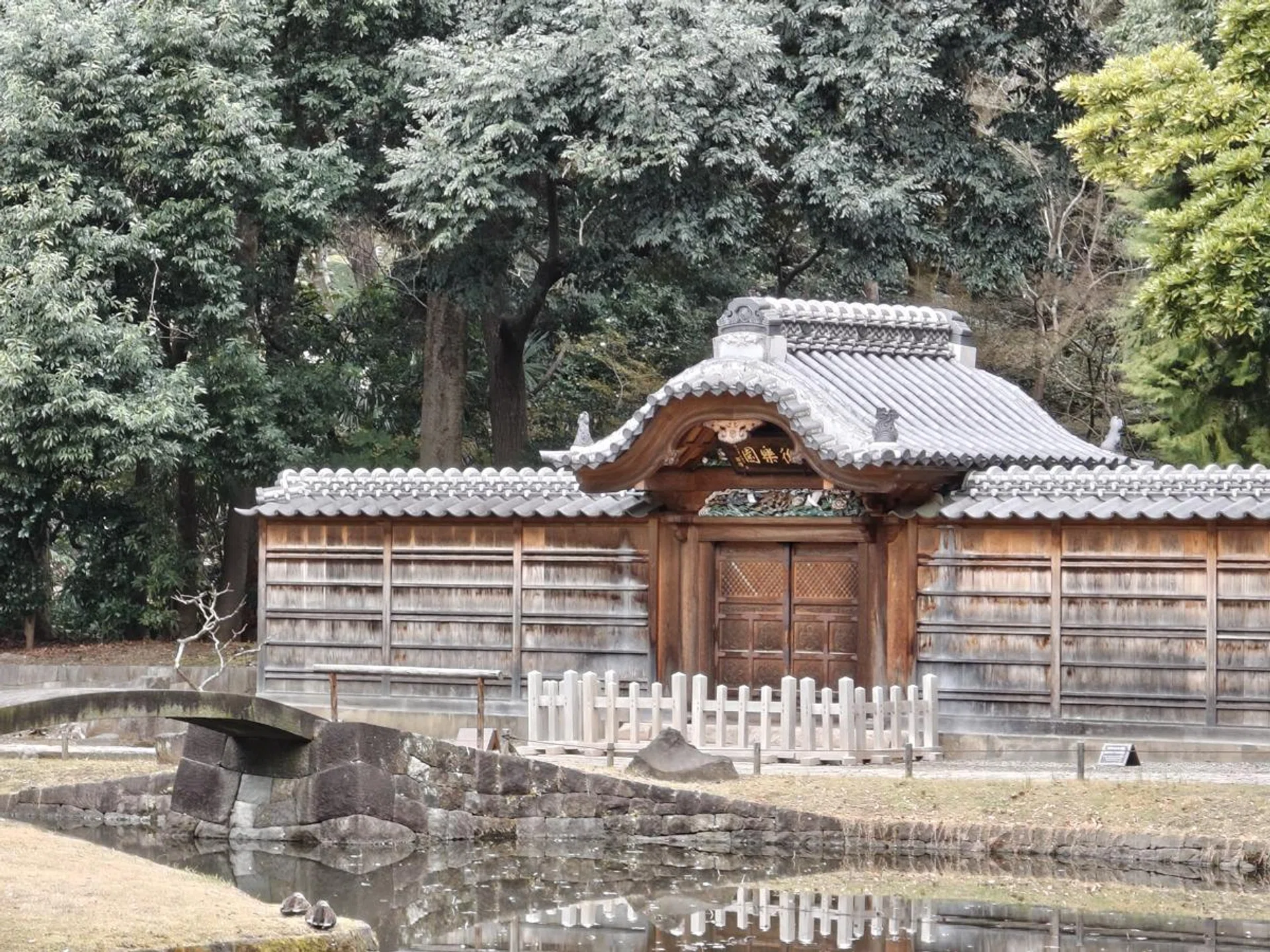 Nothing Phone (3a) Pro 6x in-sensor zoom. Photo: HWZ.