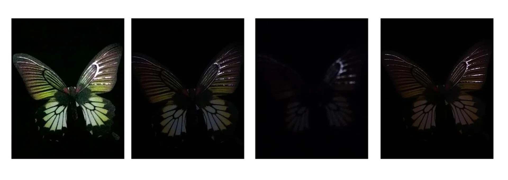 Photos taken in their respective low-light/night modes. <br> Left to right: ASUS ZenFone 5, HTC One (M8), Samsung Galaxy S5 and Sony Xperia Z2.