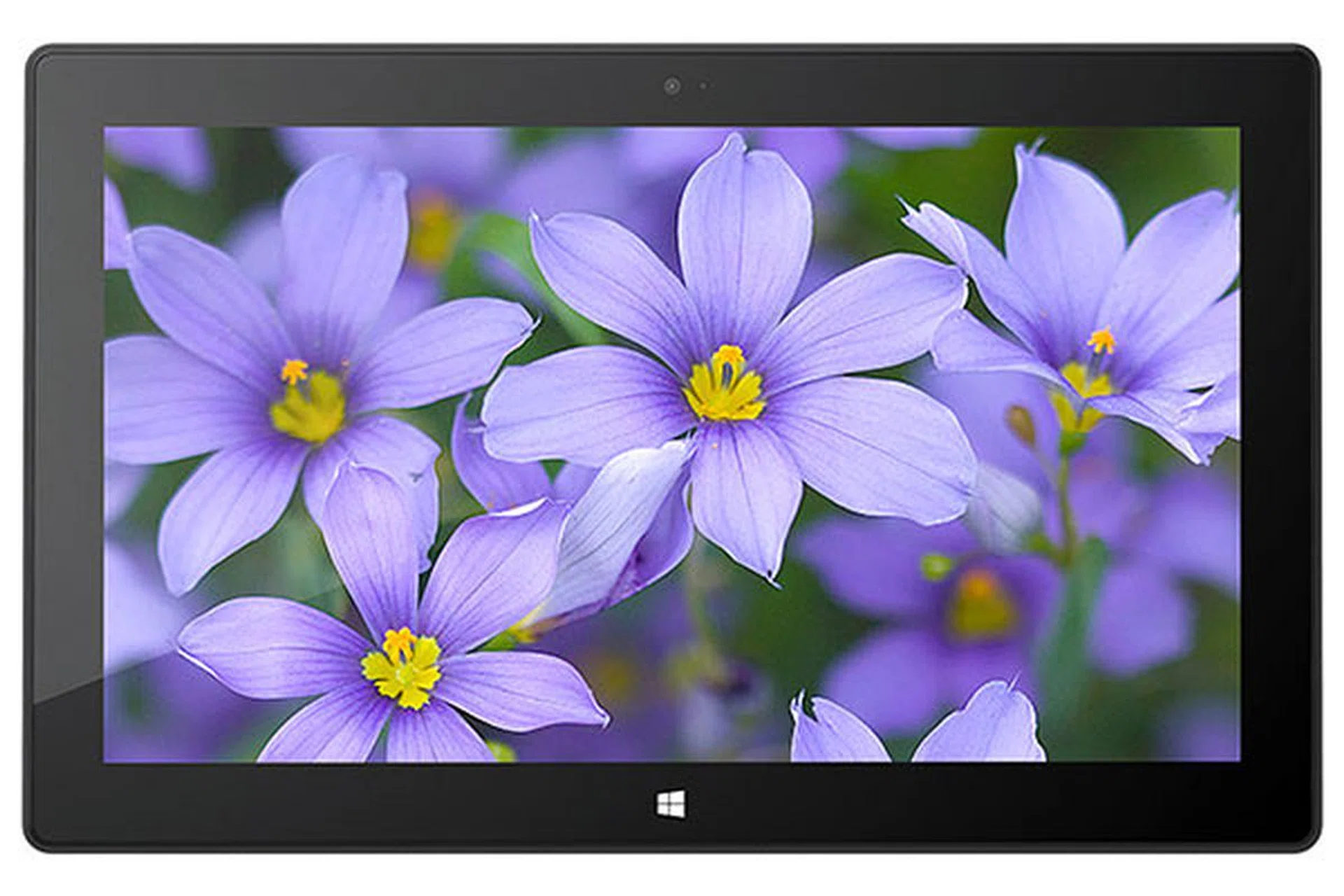 Full HD resolution, 10-point multi-touch, what's there not to like about the Surface Pro's screen?