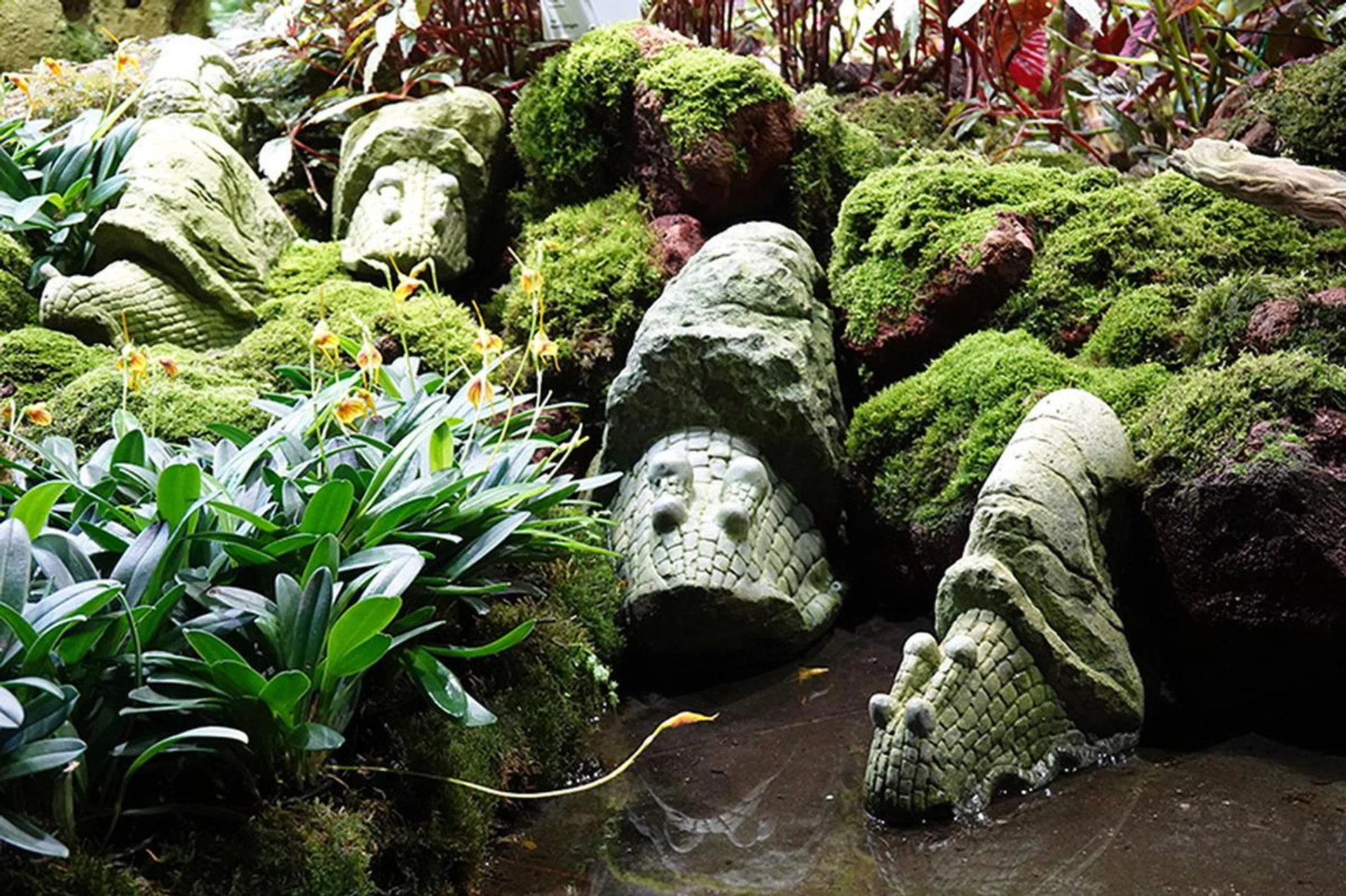 48mm at f/4.0, 1/50s, ISO 2000