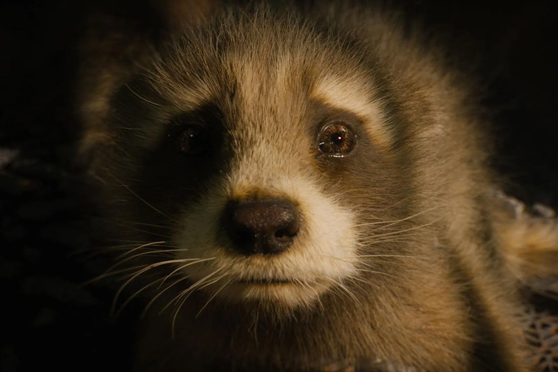 Image Source: Marvel Studios