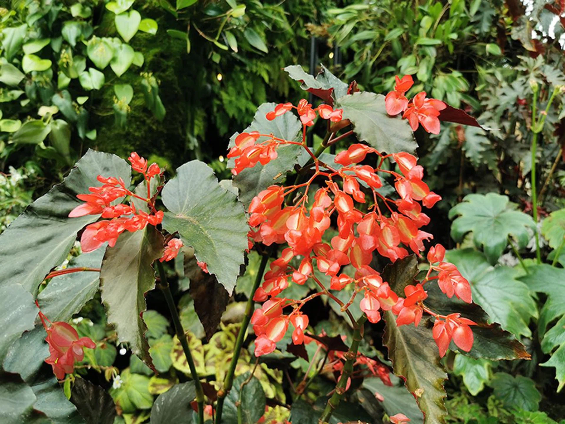 P30 Pro. (Click to see full-size image)