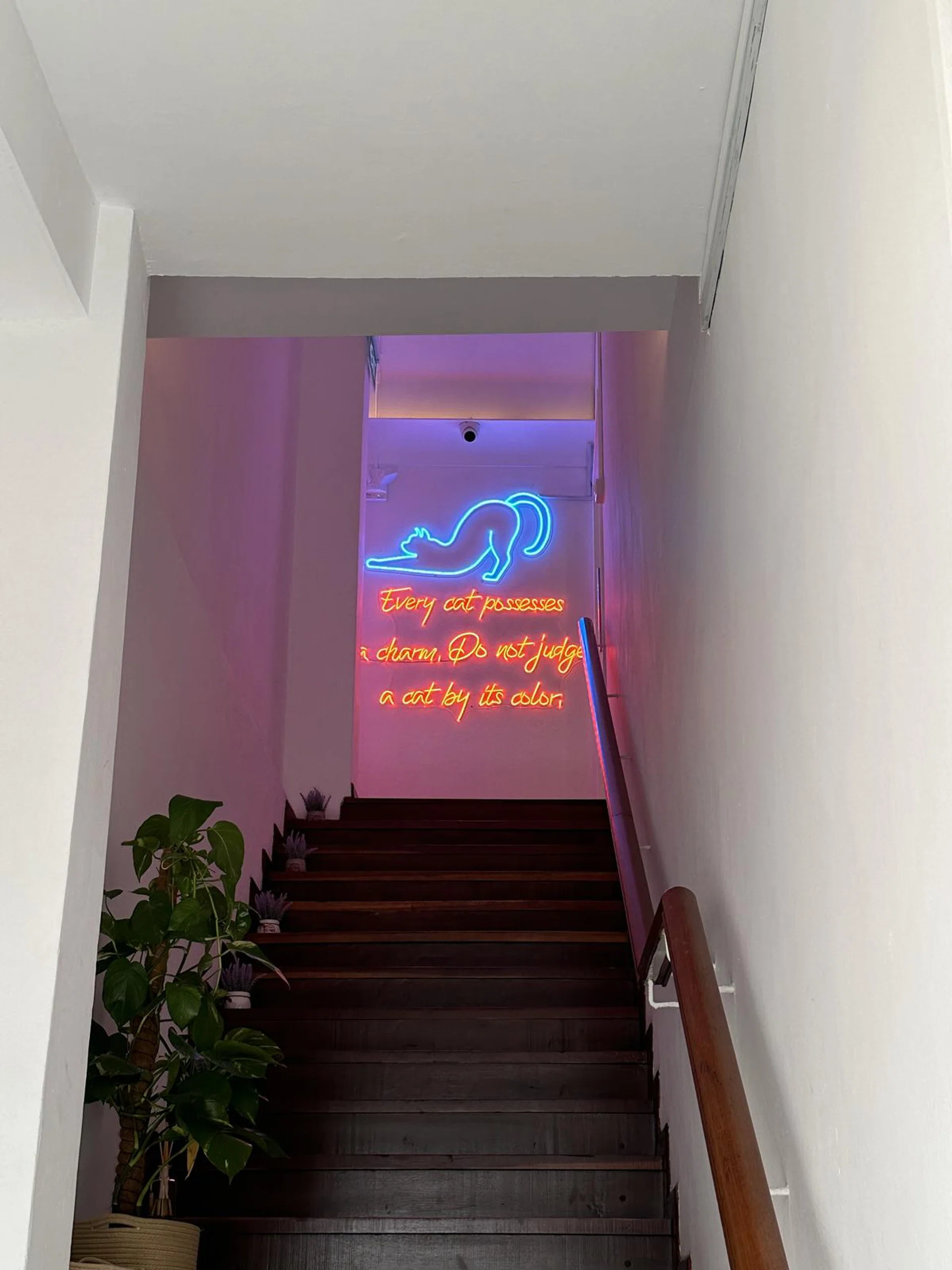 Taken with the iPhone 14 Pro Max's 2x camera. Click to see the image in its full resolution.