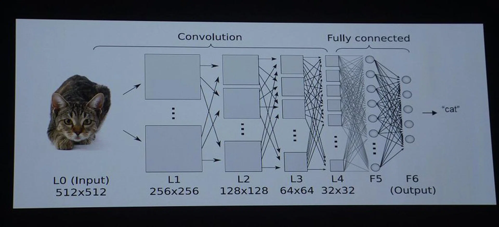An example of a convolution neural network that processes the image to derive what it is.