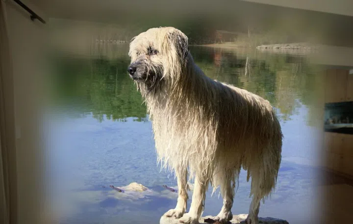 3D Google Photos. Photo: Google.