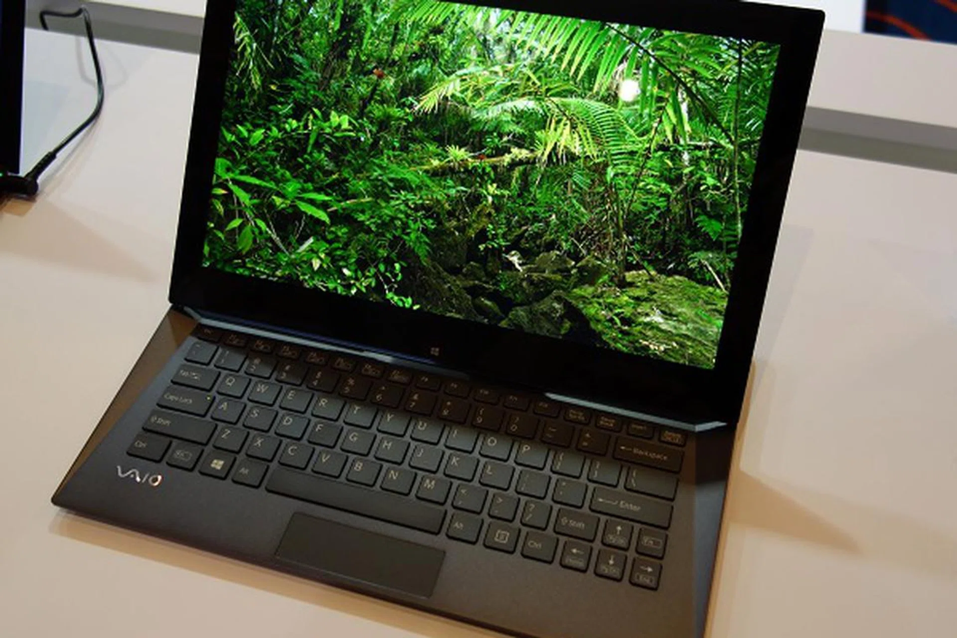 The Triluminos-backlit Full HD display on the VAIO Duo 13 is simply beautiful.