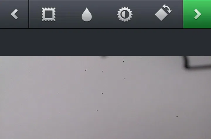 One user claimed that the black dots are a result of a software issue. However, it might not be the case.