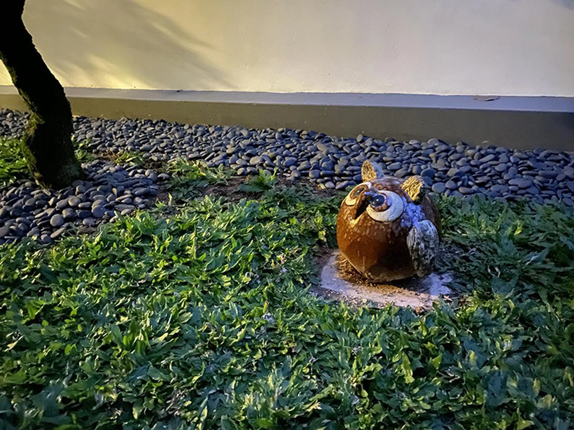 Taken with iPhone 11 Pro wide camera Night Mode on