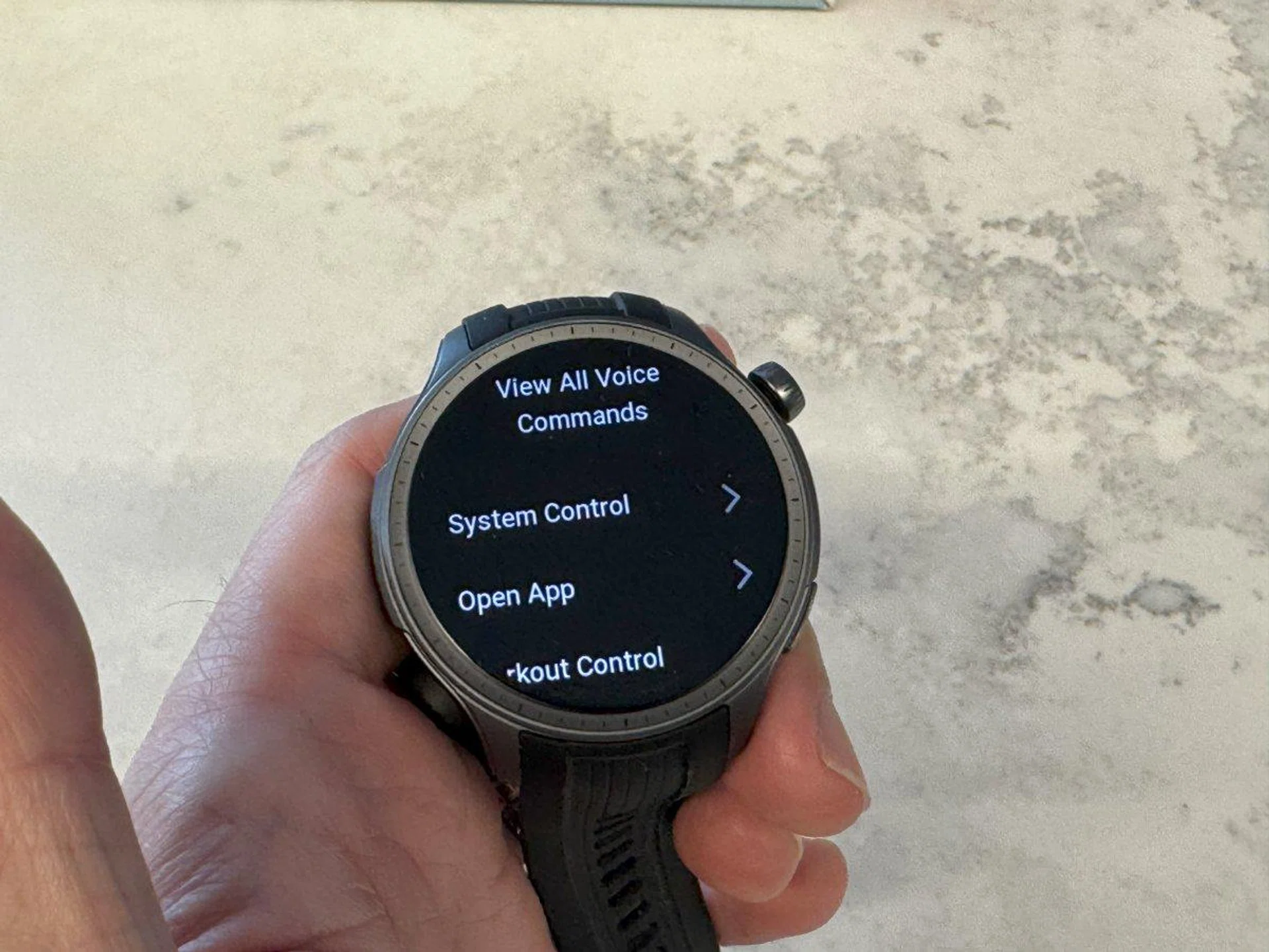 You can chat with Zepp Flow, the built-in AI assistant powered by ChatGPT 4, but you'll have more luck with canned commands. Photo: HWZ