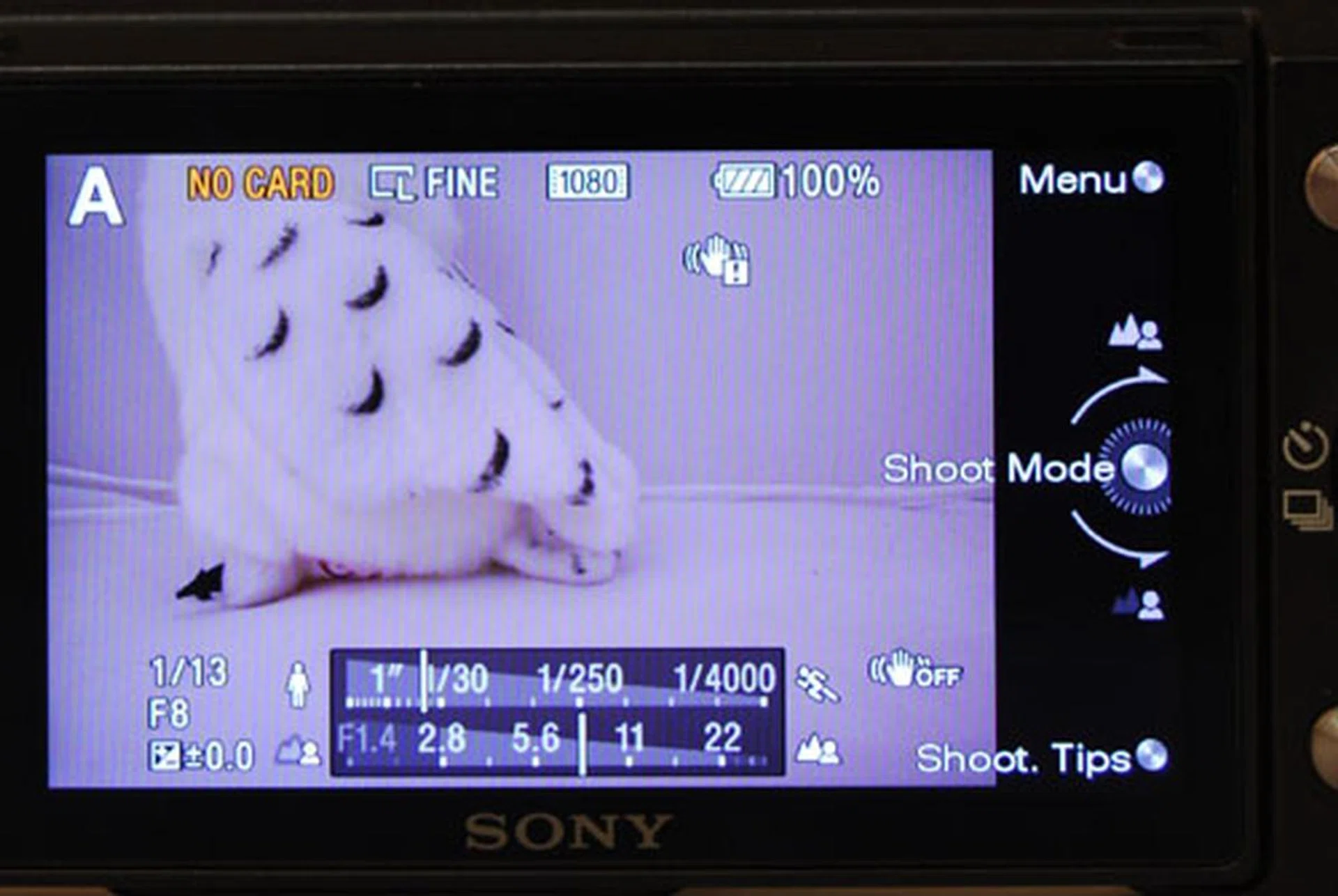 A close-up of the shooting screen in Aperture mode. The two meters on the bottom helpfully show you your settings at a glance, and the physical scroll wheel now becomes a control for aperture settings.
