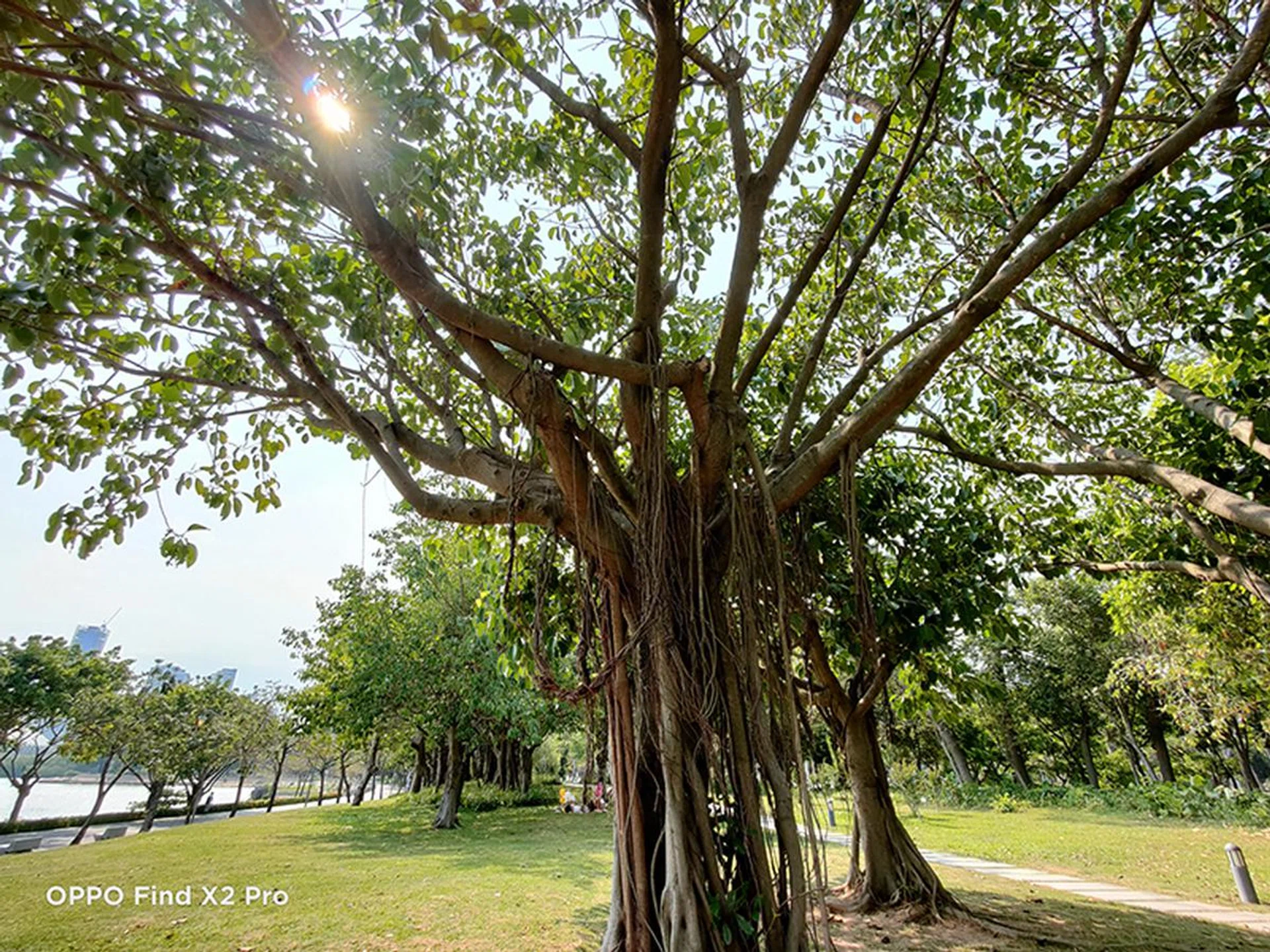 Image credit: Will Lin.